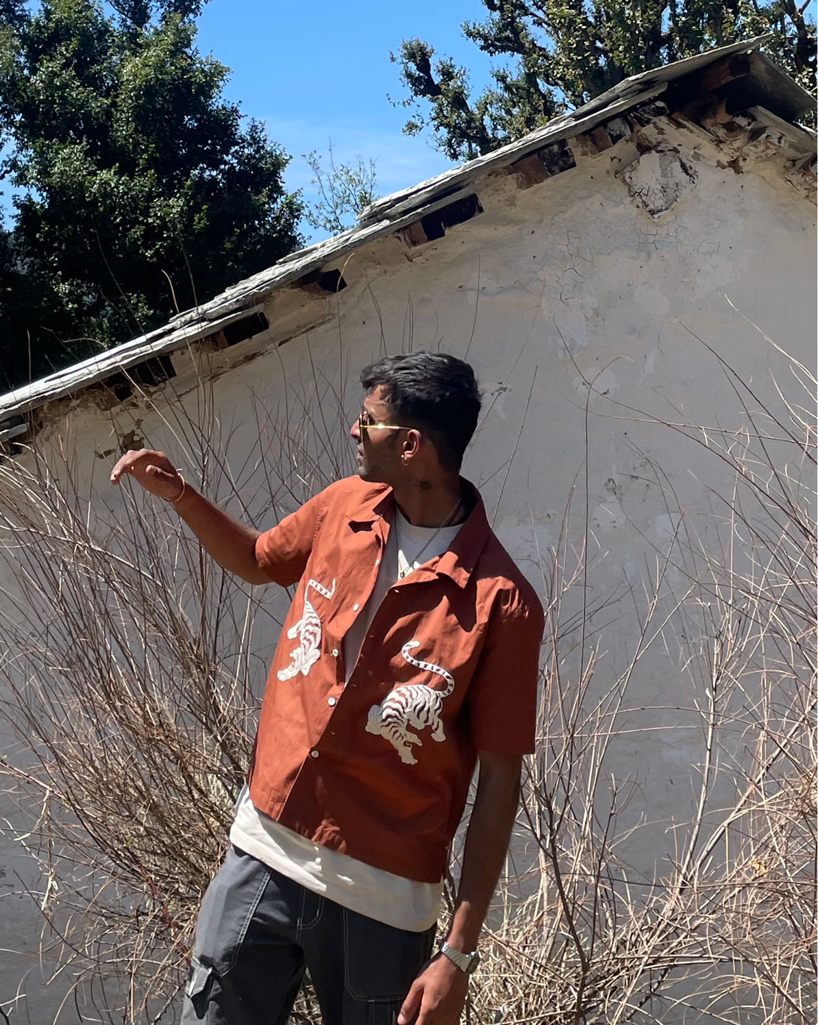 Royal Bengal Tiger Shirt (Unisex)