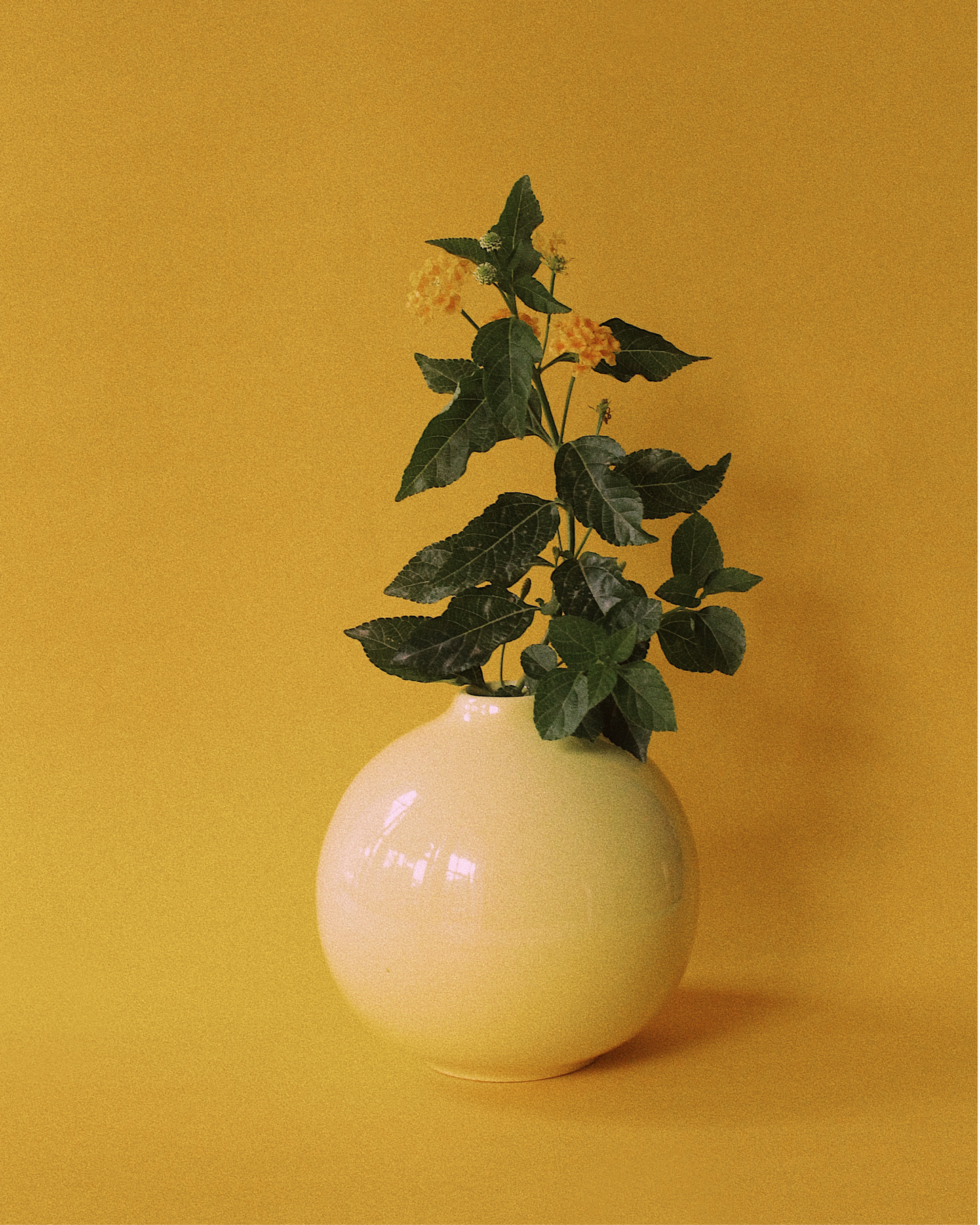 Bud Vase: Butter Yellow