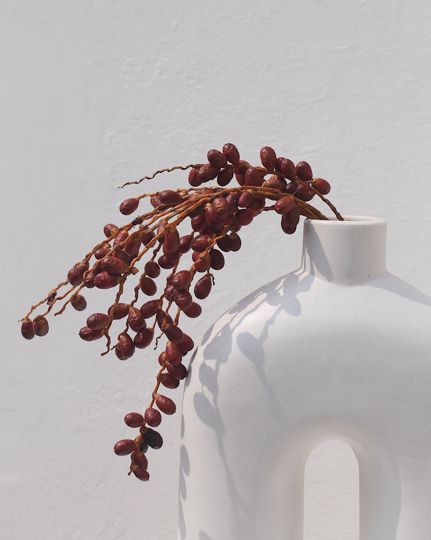White Ozo vase with date plant styling
