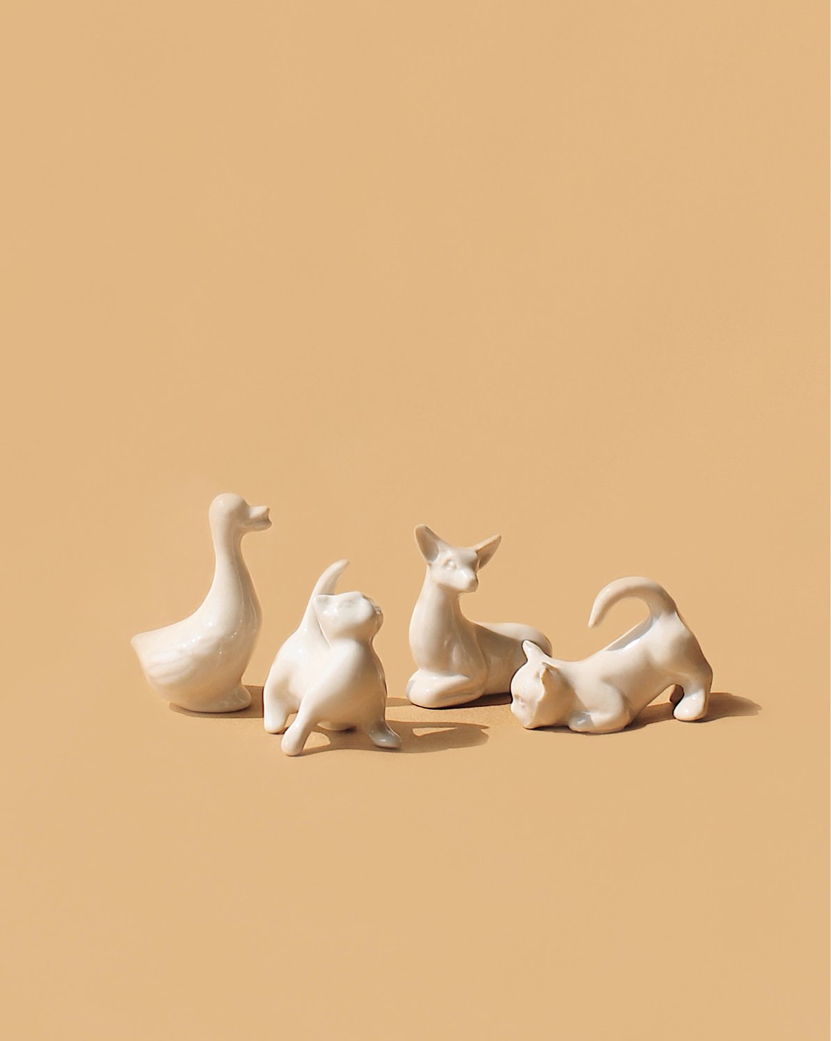 Minimal Fruit set for home ornamentation
