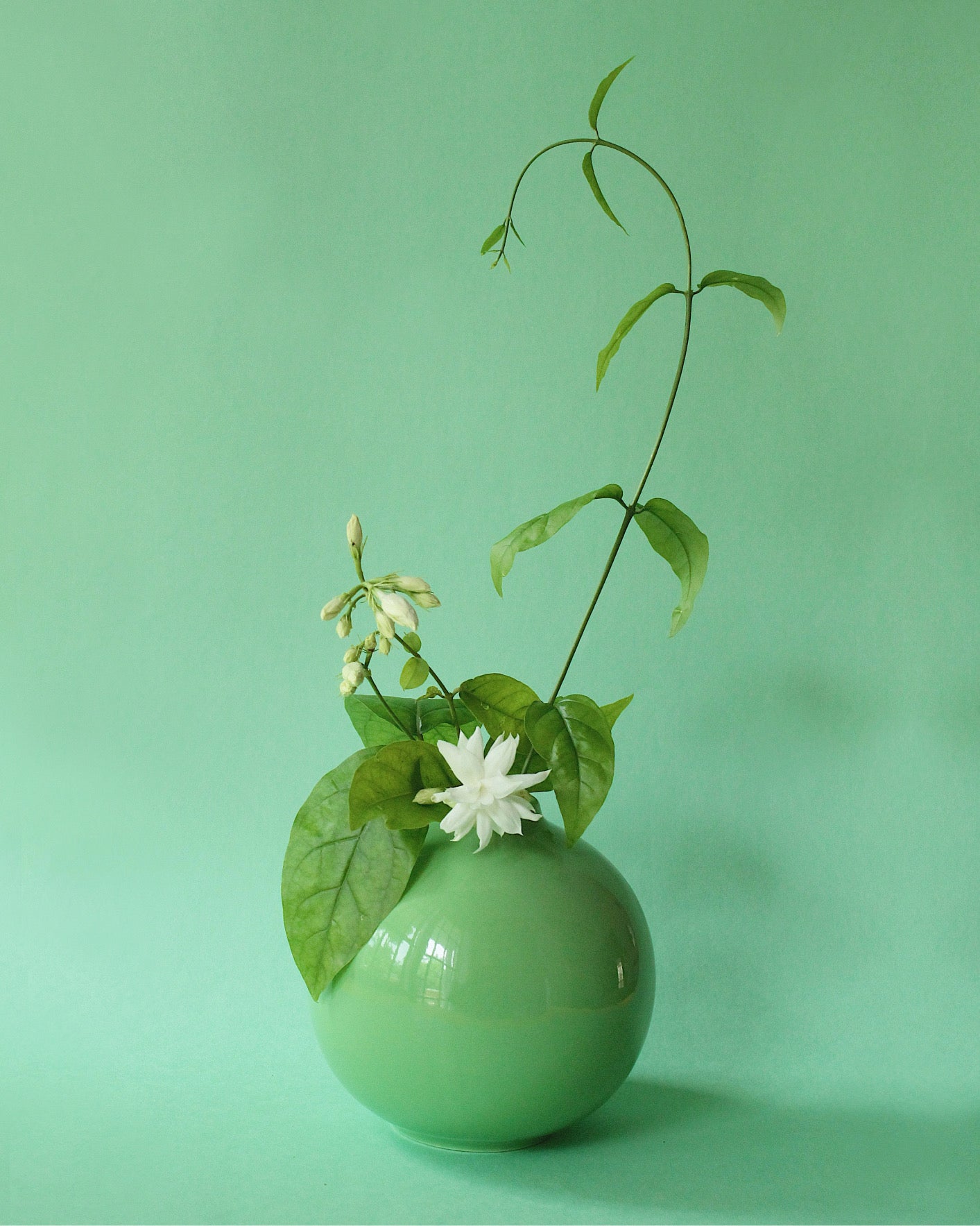 Bud Vase: Matcha Green