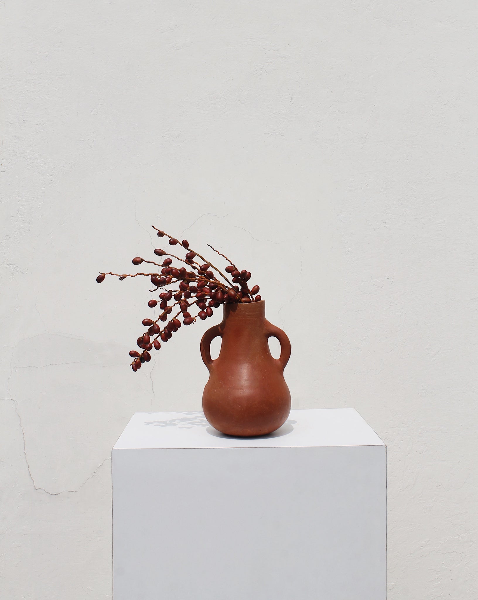 Earthen pot with beautiful styling using date plant