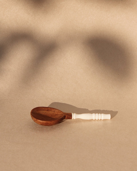 Wooden Condiment Spoons with brown background