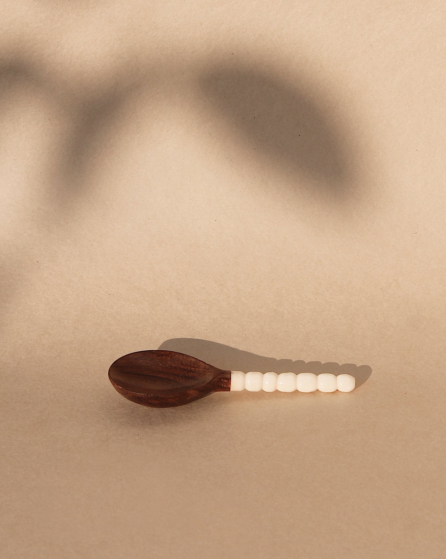 Masala Spoon in wooden texture