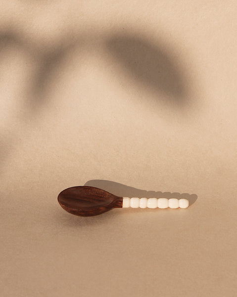 Masala Spoon in wooden texture