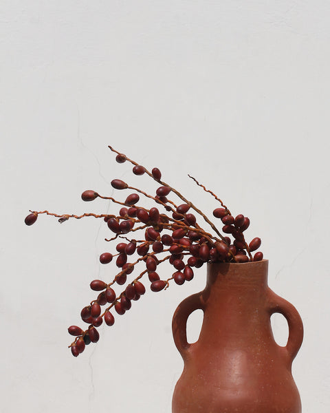 Close up shot of Terracotta vase