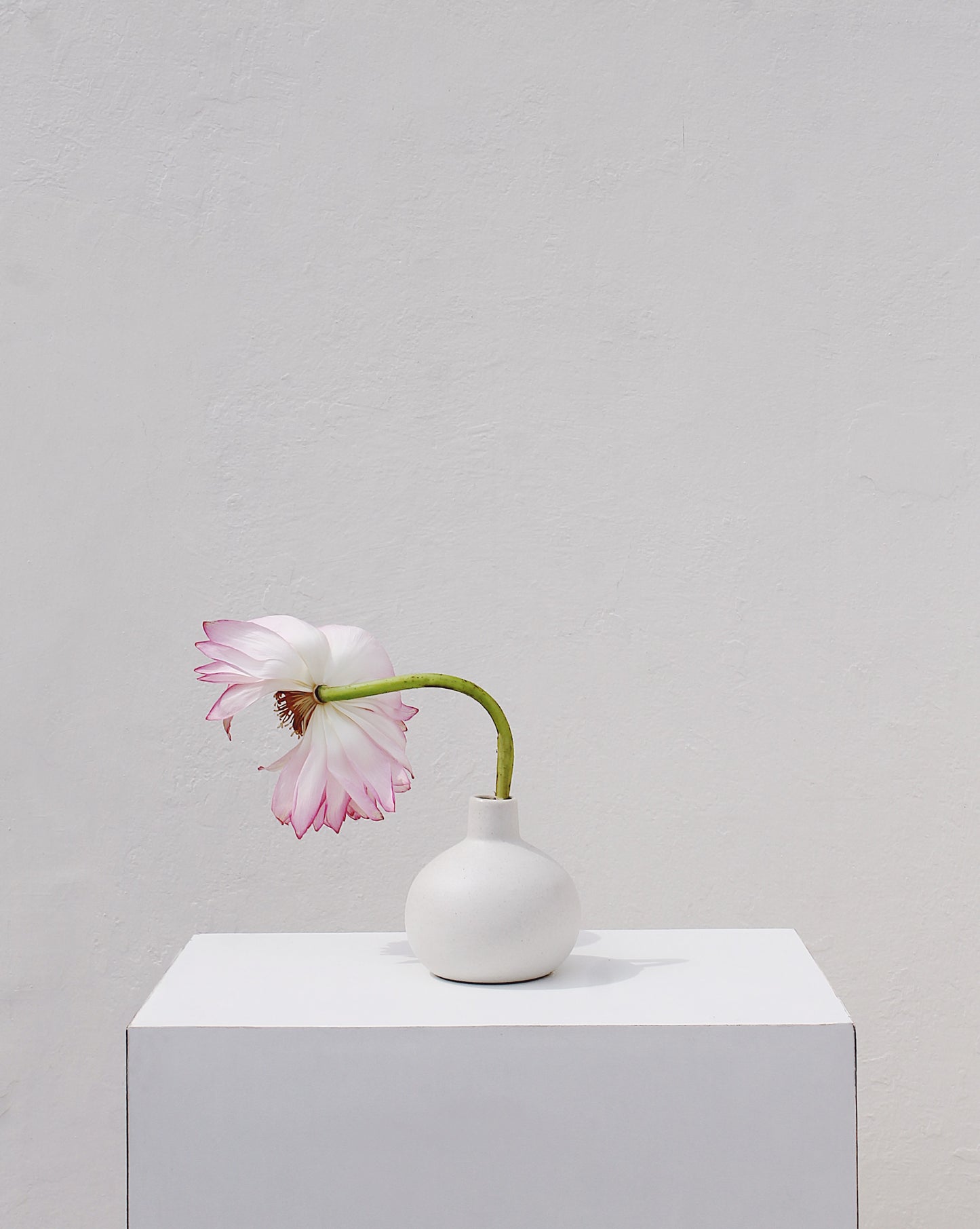 Off-White Po Vase